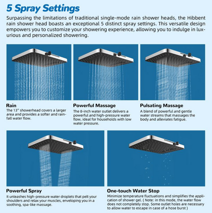 Aqualisse Chrome Wall-Mount Shower Head Combo
